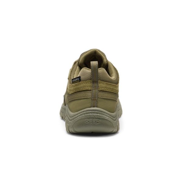 Big Kids' Targhee IV Waterproof Hiking Shoe | Martini Olive