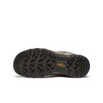 Men's Targhee IV Waterproof Hiking Boot | Brindle/Canteen