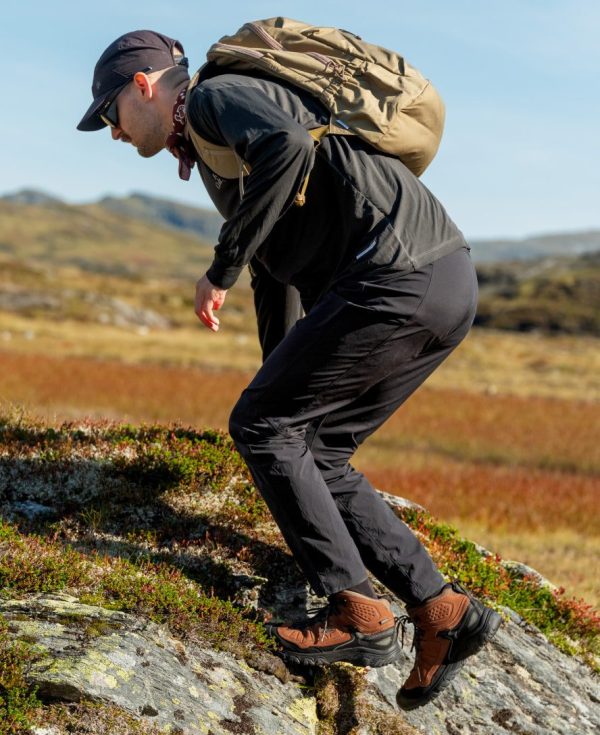 Men's Targhee IV Waterproof Hiking Boot | Brindle/Canteen