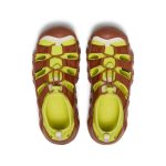Men's Hyperport H2 Sandal x Hiking Patrol | Algae Green