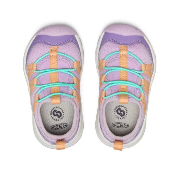 Toddlers' Motozoa Sneaker | Purple Haze/Peach Fuzz
