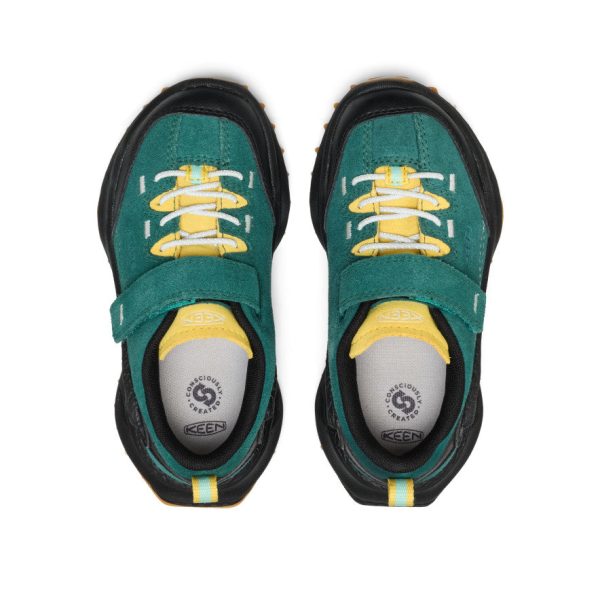 Little Kid's Jasper Zionic Sneaker | Mediterranea/Cabbage
