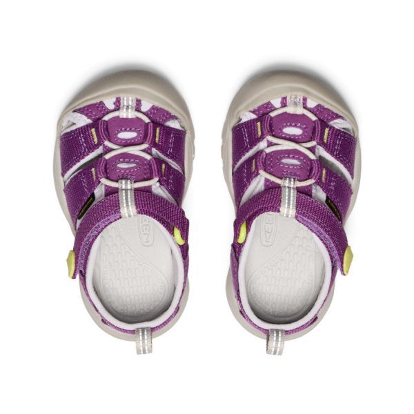 Toddlers' Newport H2 | Charisma/Daiquiri Green