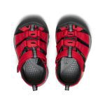 Toddlers' Newport H2 | Ribbon Red/Gargoyle