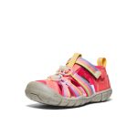 Big Kids' Seacamp II CNX | Rainbow Glow