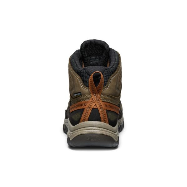Men's Targhee IV Waterproof Hiking Boot | Sea Turtle/Roasted Pecan