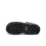 Men's Targhee IV Waterproof Work Boot (Carbon Toe) | Magnet/Black