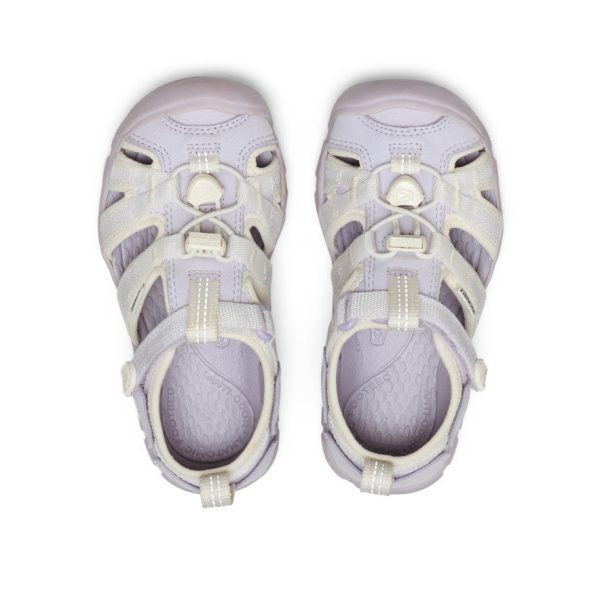 Little Kids' Seacamp II CNX  |  Thistle/Star White
