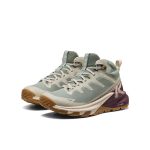Women's Targhee Apex Waterproof Hiking Boot | Lily Pad/Fig