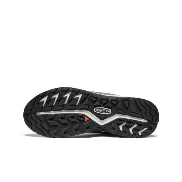 Men's Hightrail Waterproof Hiking Boot  |  Alloy/Vapor