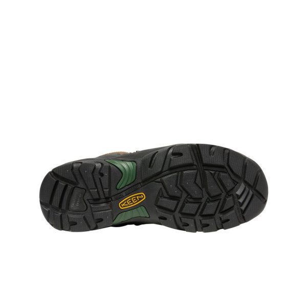Men's Pittsburgh Energy 6 Waterproof Boot (Carbon Toe) | Cascade Brown/Greener Pastures