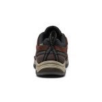 Men's Targhee IV Waterproof Hiking Shoe | Java/Bison
