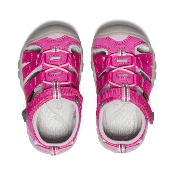 Toddlers' Seacamp II CNX | Very Berry/Dawn Pink