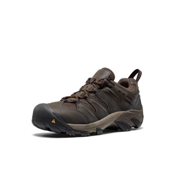 Men's Lansing Low (Steel Toe) | Cascade Brown/Fired Brick