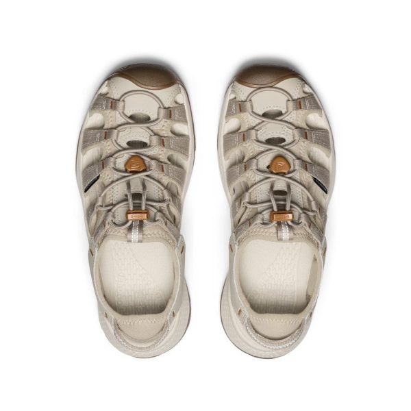 Women's Astoria West Sandal | Plaza Taupe/Roasted Pecan