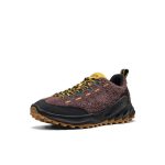 Men's Jasper Zionic Sneaker | Java/Cream Gold