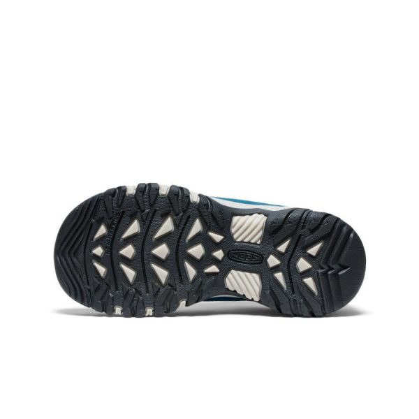 Big Kids' Targhee IV Waterproof Hiking Shoe | Reef Waters/Daiquiri Green