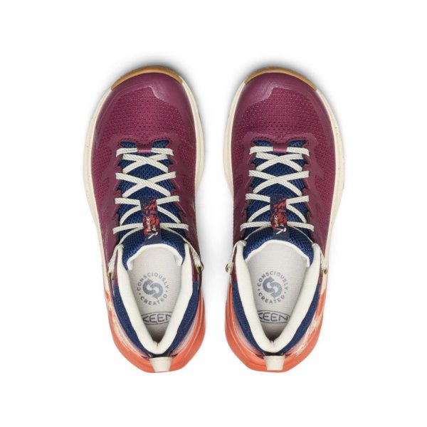 Women's Targhee Apex Waterproof Hiking Boot | Fig/Burnt Brick
