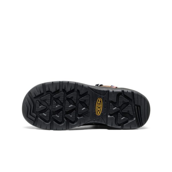 Men's Targhee IV LTR Waterproof Work Boot (Carbon Toe) | Bison/Black