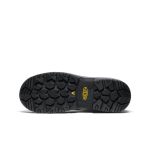 Men's Evanston 6 Insulated Waterproof Boot (Carbon Toe)  |  Bison/Black