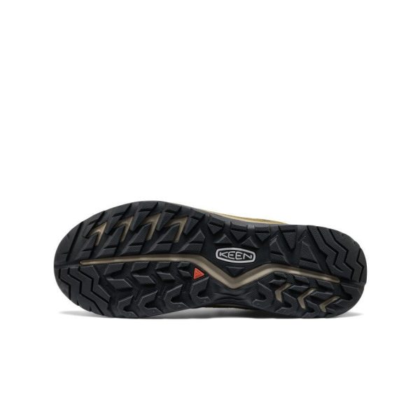 Men's Hightrail Waterproof Hiking Shoe | Forest Night/Dark Olive