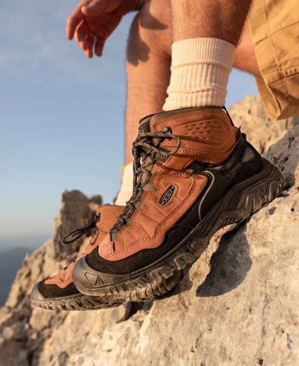 Men's Targhee IV Waterproof Hiking Boot | Bison/Black