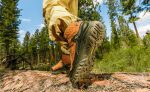 Men's Targhee IV Waterproof Hiking Boot | Coyote/Gold Flame
