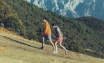 Women's Targhee Apex Waterproof Hiking Shoe  |  Cameo Rose/Peach Fuzz