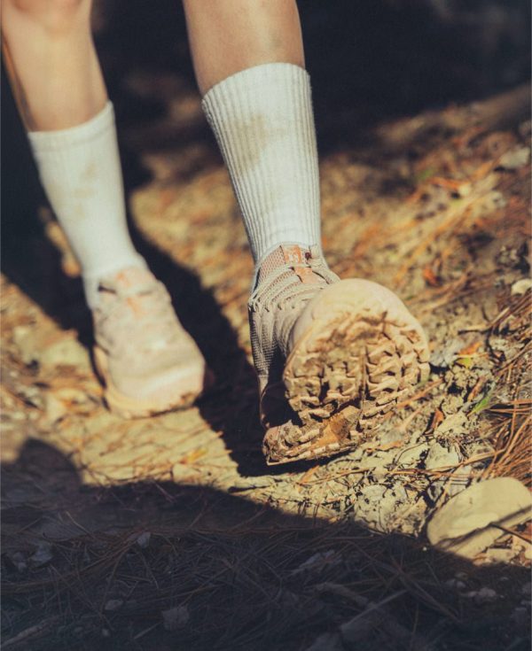 Women's Targhee Apex Waterproof Hiking Shoe | Abbey Stone/Birch