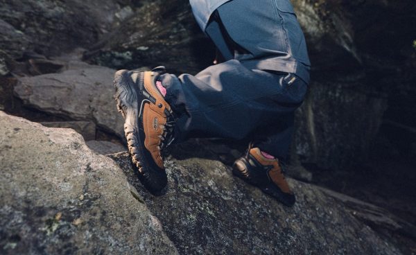 Men's Targhee IV Waterproof Hiking Shoe | Java/Bison