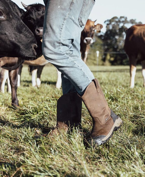 Men's Evanston Pull-On Waterproof Boot (Carbon Toe)  |  Bison/Black