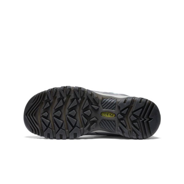 Women's Targhee IV Waterproof Hiking Shoe  |  Alloy/Granite Green