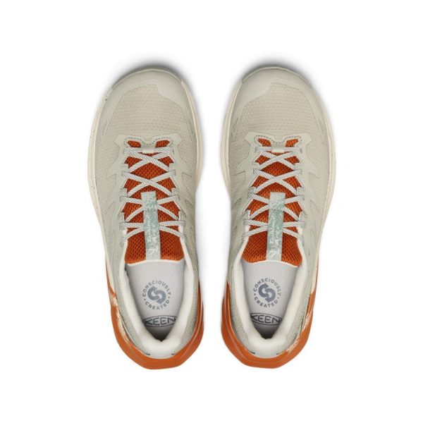 Men's Targhee Apex Waterproof Hiking Shoe  |  Abbey Stone/Gold Flame
