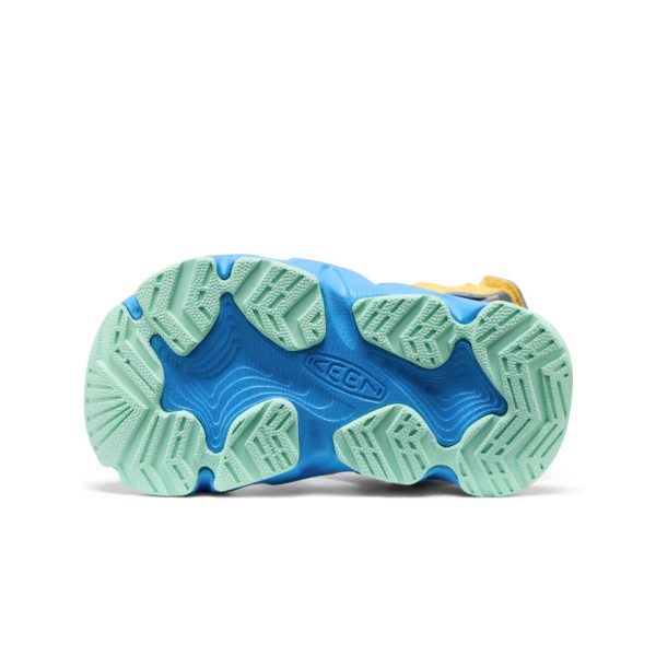 Toddlers' HyperFLT Clog  |  Azure Blue/Daffodil