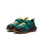 Little Kid's Jasper Zionic Sneaker | Mediterranea/Cabbage