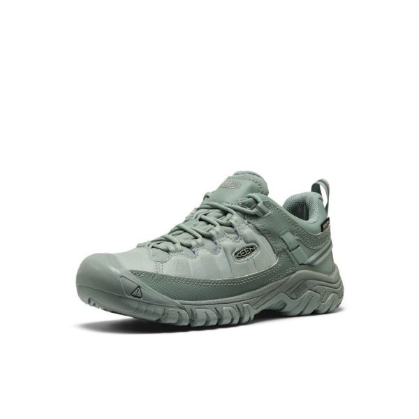 Women's Targhee EXP Waterproof Hiking Shoe  |  Lily Pad/Lily Pad