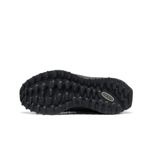 Women's Jasper Zionic Sneaker | Java/Black