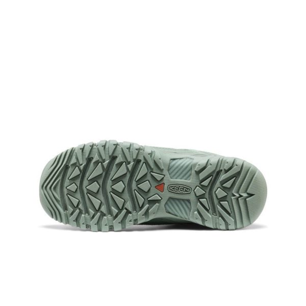 Women's Targhee EXP Waterproof Hiking Shoe  |  Lily Pad/Lily Pad
