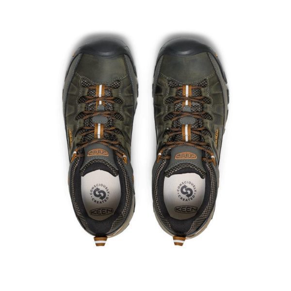 Men's Targhee III Waterproof | Black Olive/Golden Brown