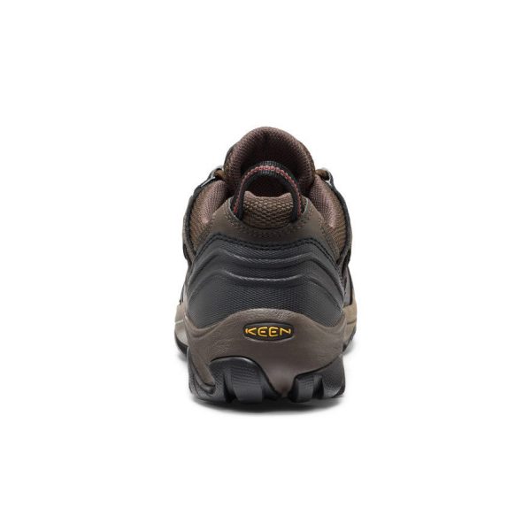 Men's Lansing Low (Steel Toe) | Cascade Brown/Fired Brick