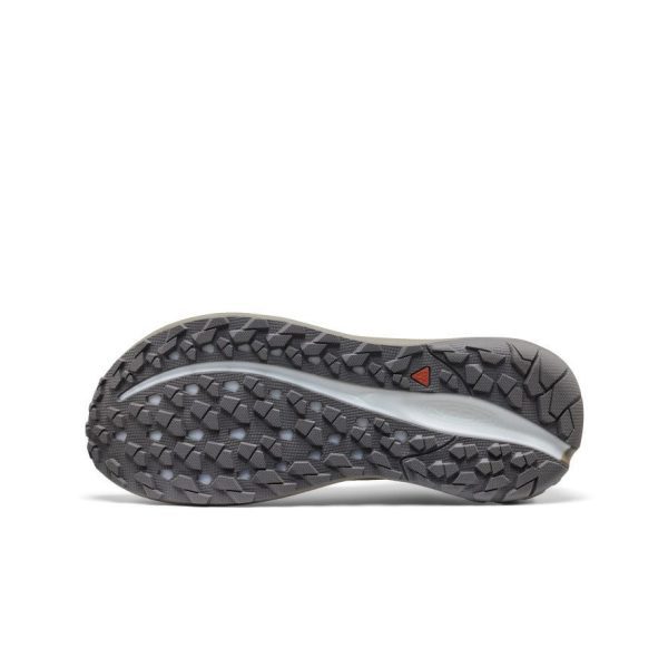 Men's Roam Trail Running Shoe | Birch/Brindle
