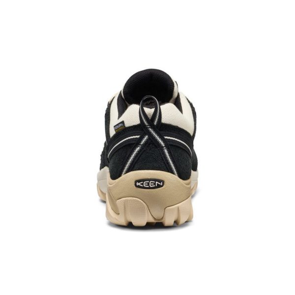 Men's Targhee II Waterproof | Black/Birch