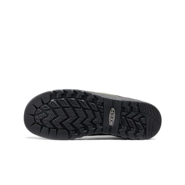 Men's Jasper Rocks Sneaker | Black/Bronze Brown