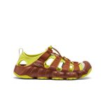 Men's Hyperport H2 Sandal x Hiking Patrol | Algae Green