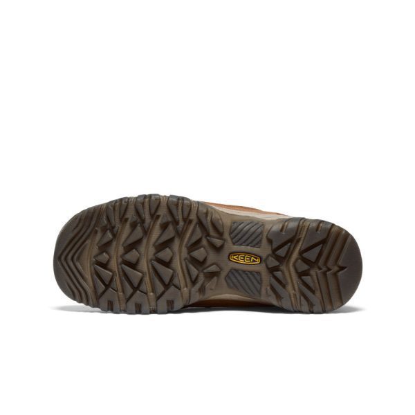 Women's Targhee IV Waterproof Hiking Shoe | Bison/Beaujolais