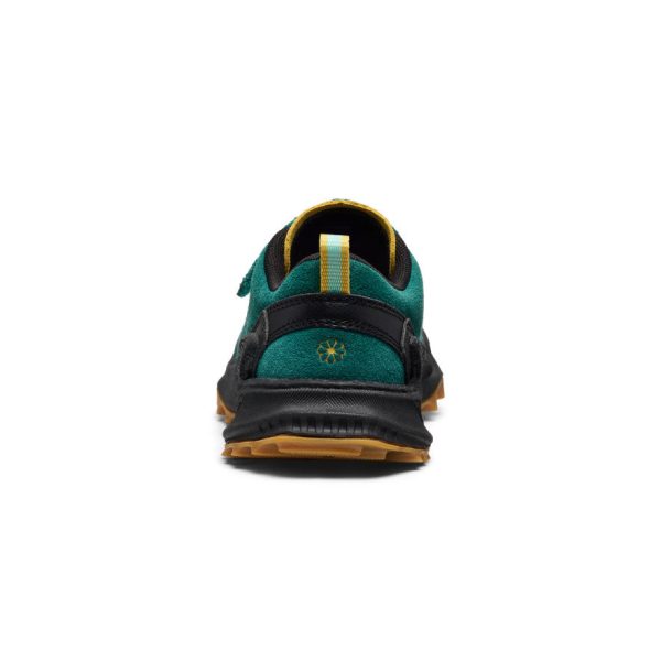 Little Kid's Jasper Zionic Sneaker | Mediterranea/Cabbage