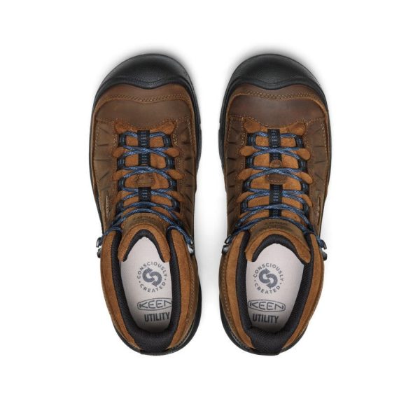Men's Targhee IV LTR Waterproof Work Boot (Carbon Toe) | Bison/Black
