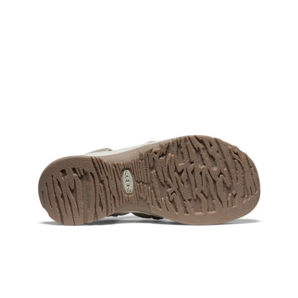 Women's Whisper | Timberwolf/Tarragon