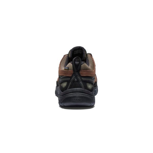 Men's Targhee IV Waterproof Hiking Shoe | Bison/Black