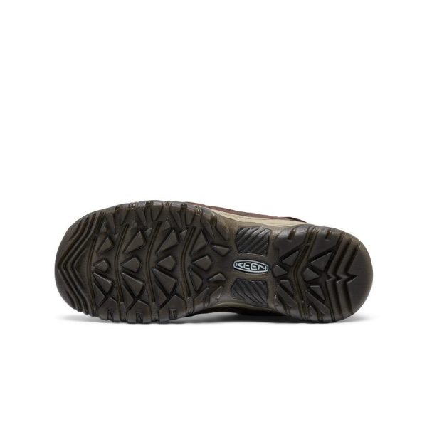Men's Targhee IV Waterproof Hiking Shoe | Java/Bison